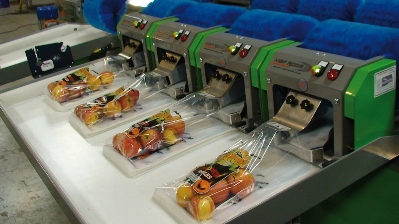 MAF RODA fruit and vegetable sorting line — view 6/6